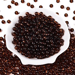 Perles de rocaille en verre transparent fgb&nbsp;SEED-N013-01B-04