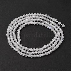 Бусины из натурального радужного лунного камня G-B142-A04-2mm