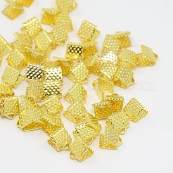 Eisenband Crimp-Enden&nbsp;E004Y-G-01