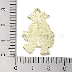 Сплав цинка кулон&nbsp;ENAM-Z009-01A-LG