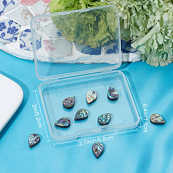 Бусины из натуральных раковин морских ушек/ракушки пауа SHEL-BBC0001-01