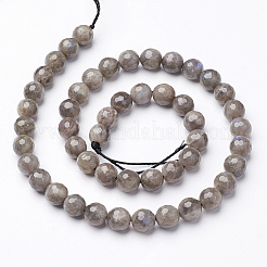 Природные лабрадорита бисер нитей X-G-D136-6mm-11