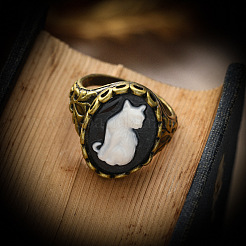 Сплав со смоляными кольцами FS-WGE901F-02