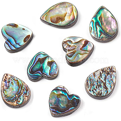 8 pz. 2 perline di conchiglia di abalone/paua&nbsp;SHEL-BC0001-013
