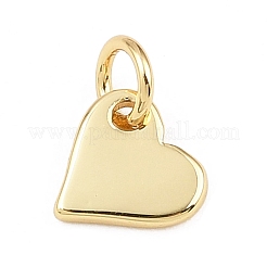 Латунь подвески&nbsp;KK-L251-41G-B01