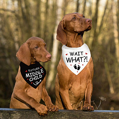 Хлопковый собачий платок AJEW-WH0592-001