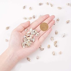 Спиральная оболочка очарование подвески SSHEL-PH0002-18