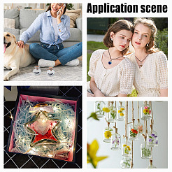 Пустые бутылки из прозрачного стекла AJEW-NB00009