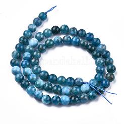 Природного апатита нитей бисера&nbsp;G-O186-E02-6mm