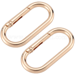 6 anneau de porte à ressort en alliage&nbsp;FIND-SP0001-24KCG