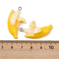 Подвески из непрозрачной смолы&nbsp;RESI-F061-03