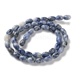 Fili di perle di diaspro macchia blu naturale&nbsp;G-I369-B01-01