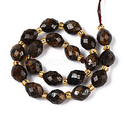 Природные бронзитом бисер нитей G-N342-53-8x6-06