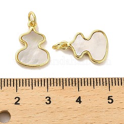 Латунные подвески из ракушек KK-K365-08C-G