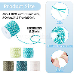Cordon tressé en polyester 5 couleurs de 50 m&nbsp;OCOR-TA0004-08