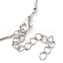 Тибетский стиль сплав богиня кулон nrecklaces для женщин&nbsp;FS-WG46404-01