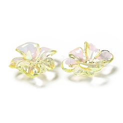 Прозрачные колпачки акриловая бисера MACR-C009-04