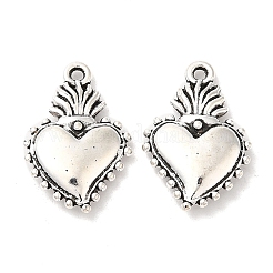 Сплавочные подвески тибетского стиля&nbsp;PALLOY-R143-12AS