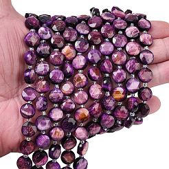 Природных тигровый глаз бисер нитей G-F812-C09-01D