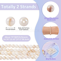 2 filo di perline di conchiglia d'acqua dolce naturale color ab&nbsp;BSHE-TA0001-40