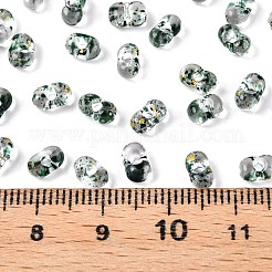 Распыление блестящей пудры с стеклянными бусинами SEED-T007-09C