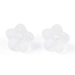 Transparente Acryl Perlen&nbsp;X-PL554-A