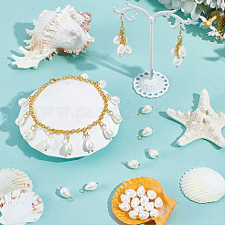 40 шт. Подвески из натуральных ракушек&nbsp;PALLOY-NB00015