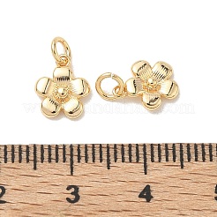 Colgantes de latón Shegrace&nbsp;XGRQ3D665-472G