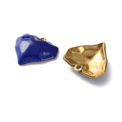 Подвески из нержавеющей стали 304 с эмалью&nbsp;STAS-R164-01G