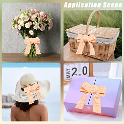 1 рулон полиэфирных лент SRIB-CY0001-13A