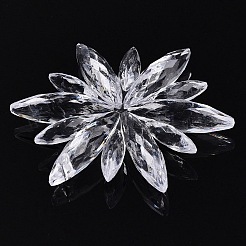 Прозрачные акриловые подвески TACR-T028-10A