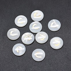 Cabochons de concha&nbsp;SSHEL-E568-B12