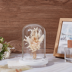 Couvercle de dôme en verre&nbsp;AJEW-WH0752-087B