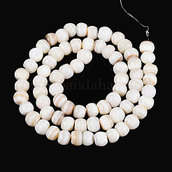 Нити бусин из натуральных пресноводных ракушек SHEL-N038-04