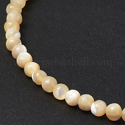 Fili di perle di conchiglia trochid naturale / trochus&nbsp;SSHEL-S266-023B-07