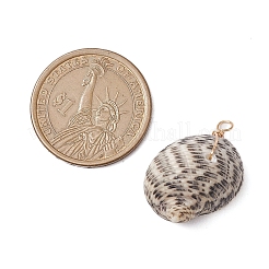 Природные подвески оболочки PALLOY-JF02953