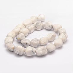Естественно Howlite шарик нити G-K153-D15