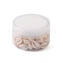 54 шт. Набор бусин из окрашенных ракушек гребешка натурального цвета FIND-FS0001-19