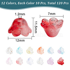 120 шт. 12 стеклянных колпачка для бусин&nbsp;GLAA-HY0001-20