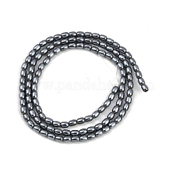Perles de perles de coquille galvanoplastie&nbsp;BSHE-H113-06A-05