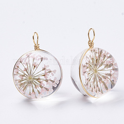 Стеклянные подвески GLAA-Q070-002B-04