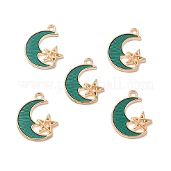 Pendente smaltati in lega&nbsp;LS-ENAM-S121-061F-G