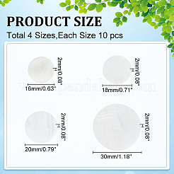 40 pieza de 4 estilos de cabujones de concha de agua dulce natural&nbsp;SHEL-WR0001-11
