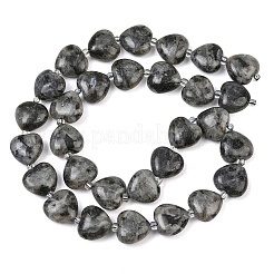 Perline labradorite naturale fili&nbsp;G-B022-32C-A