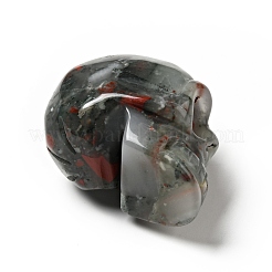 Хэллоуин натуральный африканский кровавый камень украшения дисплея&nbsp;DJEW-K015-30