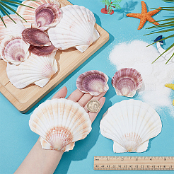 2 стиль натуральная оболочка&nbsp;SSHEL-WR0001-06A