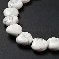 Природные Говлит бисер нитей G-B022-09C