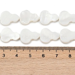 Нити бусин из натуральных пресноводных ракушек SHEL-K010-02C