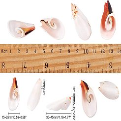 天然淡水シェルビーズ  貝殻色  30~45x15~25x10~15mm  穴：1mm  約30個/箱&nbsp;SSHEL-NB0001-21