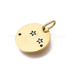 Pendentifs en acier inoxydable émaillé douze constellations&nbsp;STAS-A148-01G-03